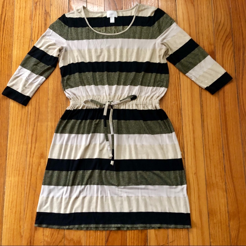 Ann Taylor LOFT Sparkly Knit Dress Sz Lg
